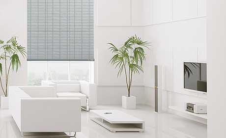Automated Shading & Blinds